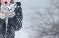 У чаканні зімы