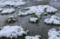 Надвор'е на выходныя будзе амаль вясновае
