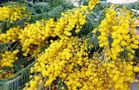 У сакавіку
