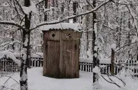 На Магілёўшчыне прадаюць прыбіральню-"шпакоўню"
