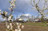 Вясна ў Беларусі


&nbsp;

