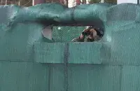 Беларускі памежнік на мяжы з Украінай
