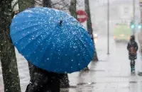 Халодны красавік
