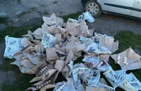 Крадзеныя яйкі&nbsp;
