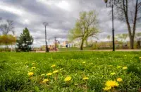 Вясна на Віцебшчыне
