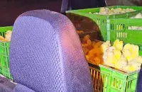 Кураняты
