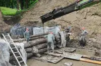 Дрэва чакае кансервацыя
