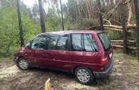 Пад Зэльвай дрэва, паваленае ветрам, забіла жанчыну
