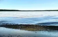 У жніўні ў Беларусі

