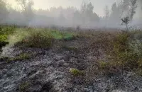 На месцы ляснога пажару пад Бабруйскам
