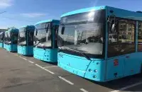 Аўтобусы, ілюстрацыйнае фота
