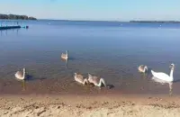 У верасні ў Беларусі
