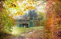 Восень, ілюстрацыйнае фота
