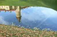 Верасень, ілюстрацыйнае фота

