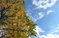 У кастрычніку ў Беларусі
