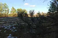 У пачатку зімы ў Беларусі
