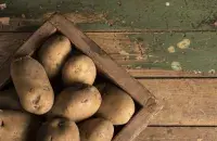 Бульба, ілюстрацыйнае фота
