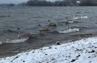 У Беларусі ў пачатку лютага
