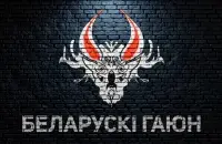 "Вясне" вядома пра шэраг судовых працэсаў па "справе Гаюна"
