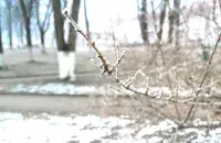 У лютым у Беларусі
