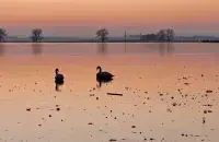 У чаканні вясны
