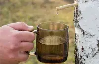 Берёзовый сок
