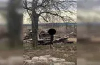 Сабака, павешаны ў Гродне

