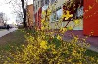 Вясна ў Беларусі
