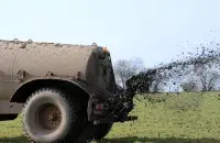 Угнаенні, ілюстрацыйнае фота
