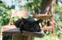 Спёка ў Беларусі
