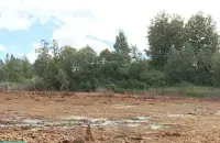 Здесь было озеро Кострицкое
