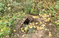 Падкоп на беларуска-польскай мяжы
