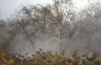 Восень, ілюстрацыйнае фота
