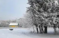 Надвор’е ў Беларусі
