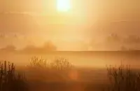 Першыя травеньскія начныя замаразкі
