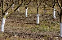 Бавіце час летам за горадам? Зрабіце пераразлік!
