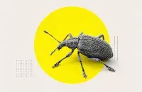 Как избавиться от долгоносика Беларусь