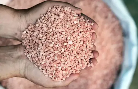Fertilizer trade is a profitable business / agronews​
