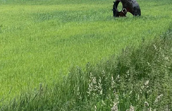На поле в Черниговской области напоминание о бою начала весны / instagram.com/wladyslaw_musiienko​