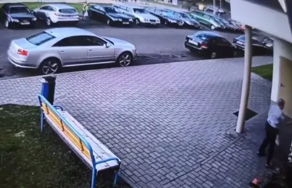 Кадр з відэа, на якім жанчына б'е ката аб сцяну / instagram.com/predannoe&nbsp;