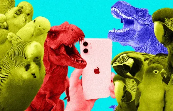 iPhone
