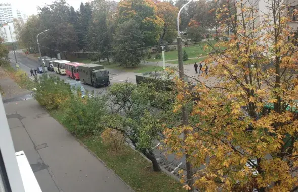Мінск / telegram