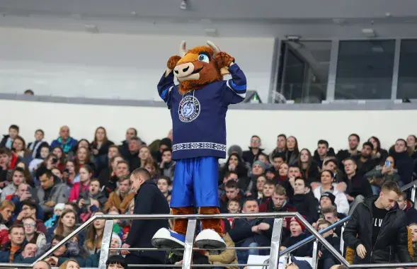 hcdinamo.by