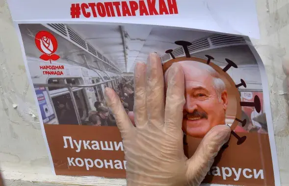 Агитационная продукция на пикете "кандидата протеста" 24 мая 2020-го в Минске​