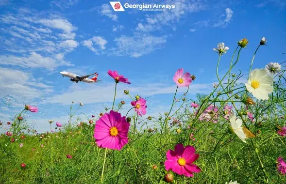 Самолет Georgian Airways летит в Беларусь​ / facebook.com/GeoAirwayss
