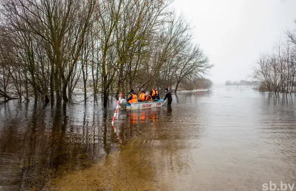 Наиболее высок уровень воды в Мозырском районе / sb.by
