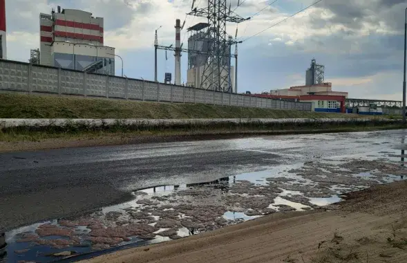 Возле Светлогорского целлюлозно-картонного комбината / t.me/ranak_me/
