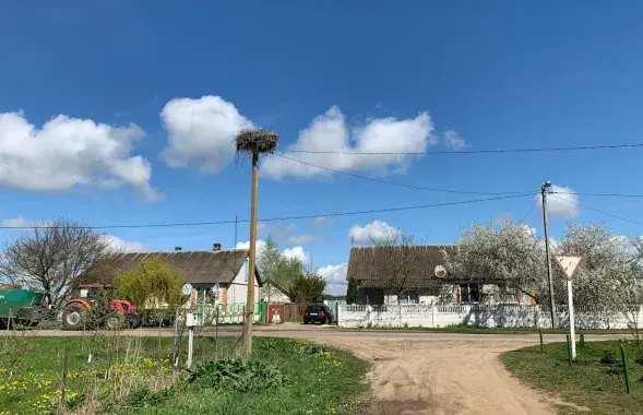 Вясна ў Беларусі / Еўрарадыё
