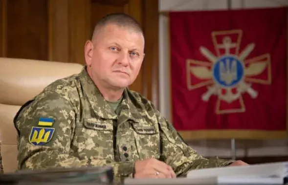 Валерый Залужны / interfax.com.ua
