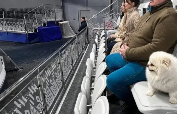 Шпіц Умка на трыбуне / Прэс-служба Аляксандра Лукашэнкі
